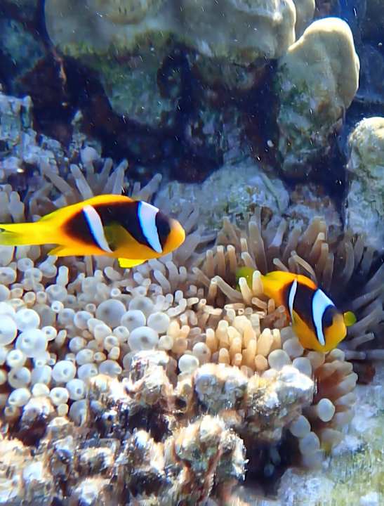 Sport & Freizeit Serry Beach Resort