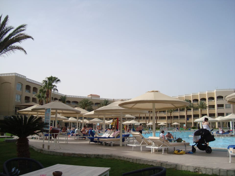 Pool Beach Albatros Resort