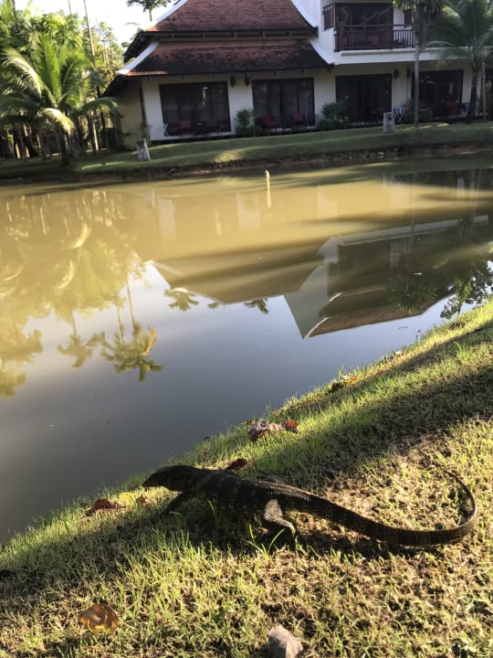 Sonstiges Khaolak Laguna Resort
