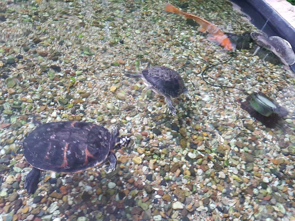 Sonstiges Tropical Islands Resort