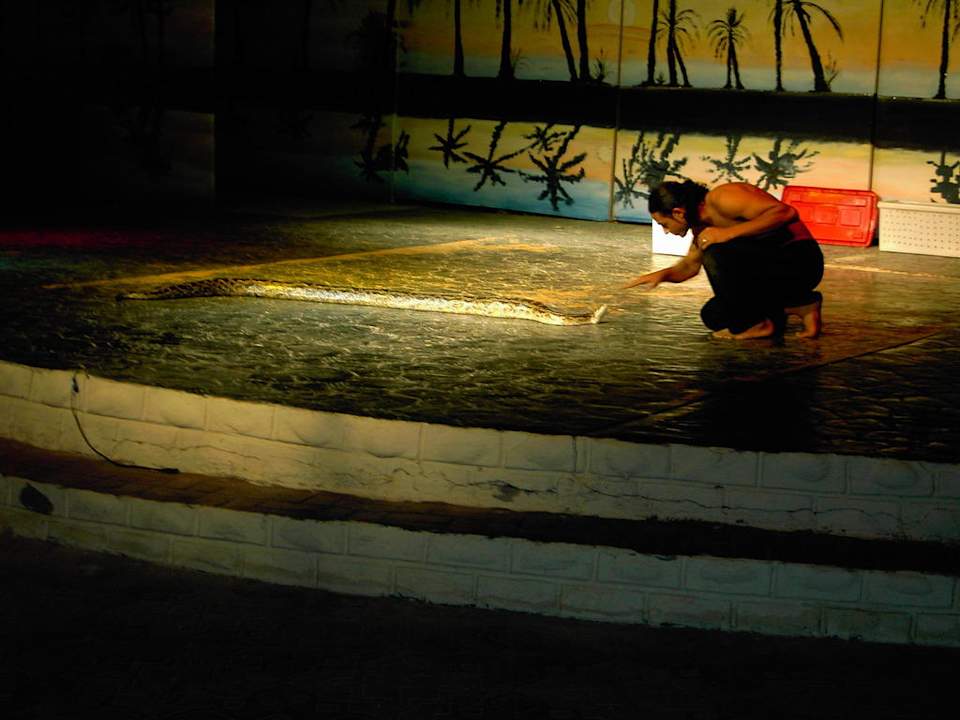 Animation  in der Arena Pickalbatros Alf Leila Wa Leila Resort - Neverland Hurghada