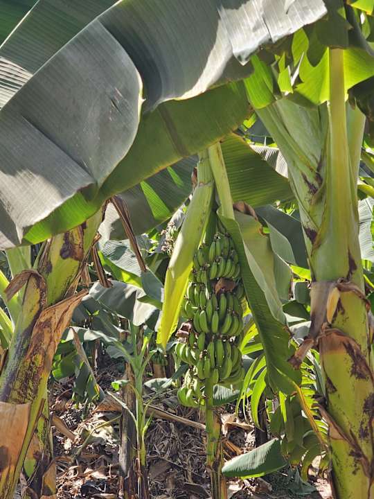 Sport & Freizeit Sentido Akassia Beach