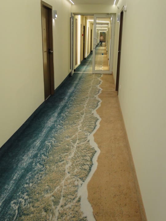 Zimmer Sentido Marea