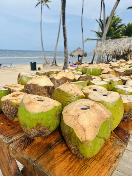Sonstiges Grand Sirenis Punta Cana Resort & Aquagames
