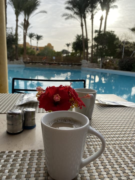 Gastro Makadi Palace