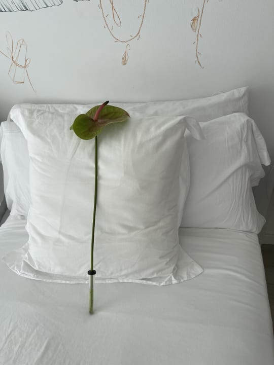 Zimmer Iberostar Waves Bahia de Palma