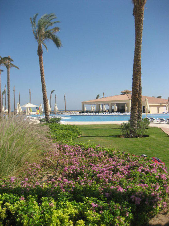 Es wird grün Cleopatra Luxury Resort Makadi Bay