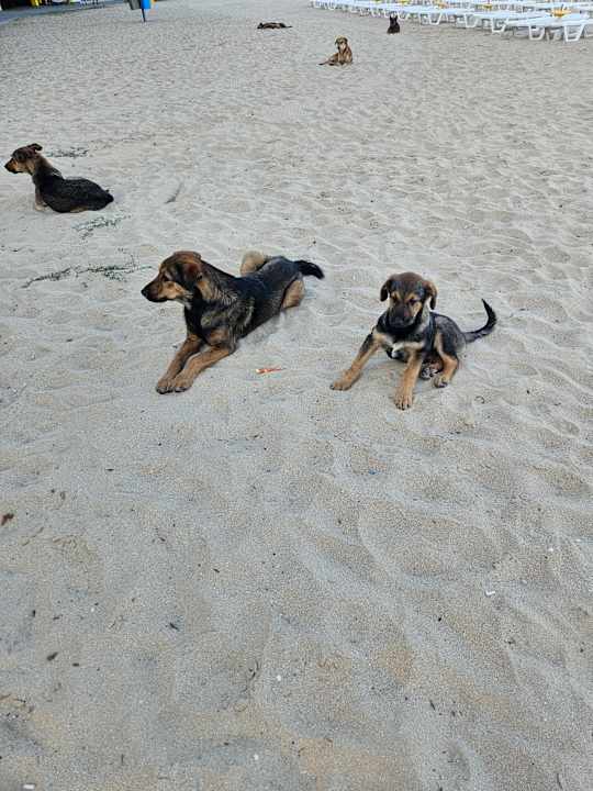 Strand Hotel Borjana