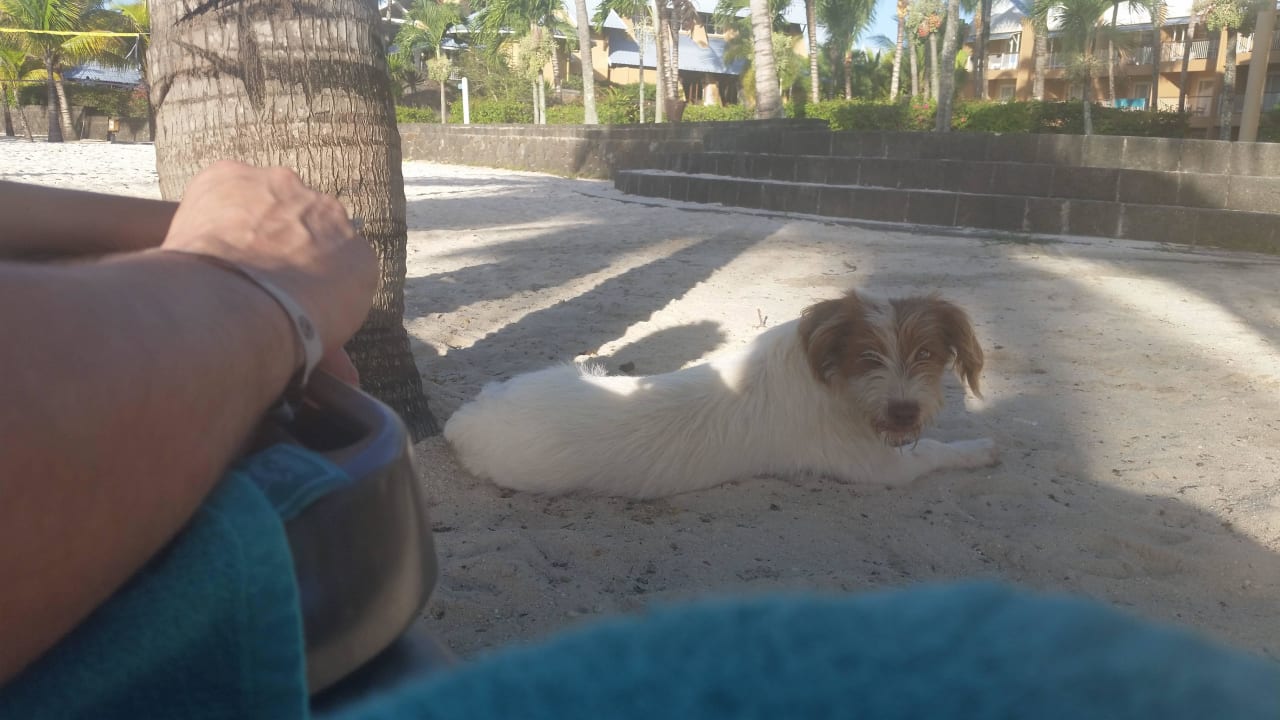 Strolchi... Victoria Beachcomber Resort & Spa