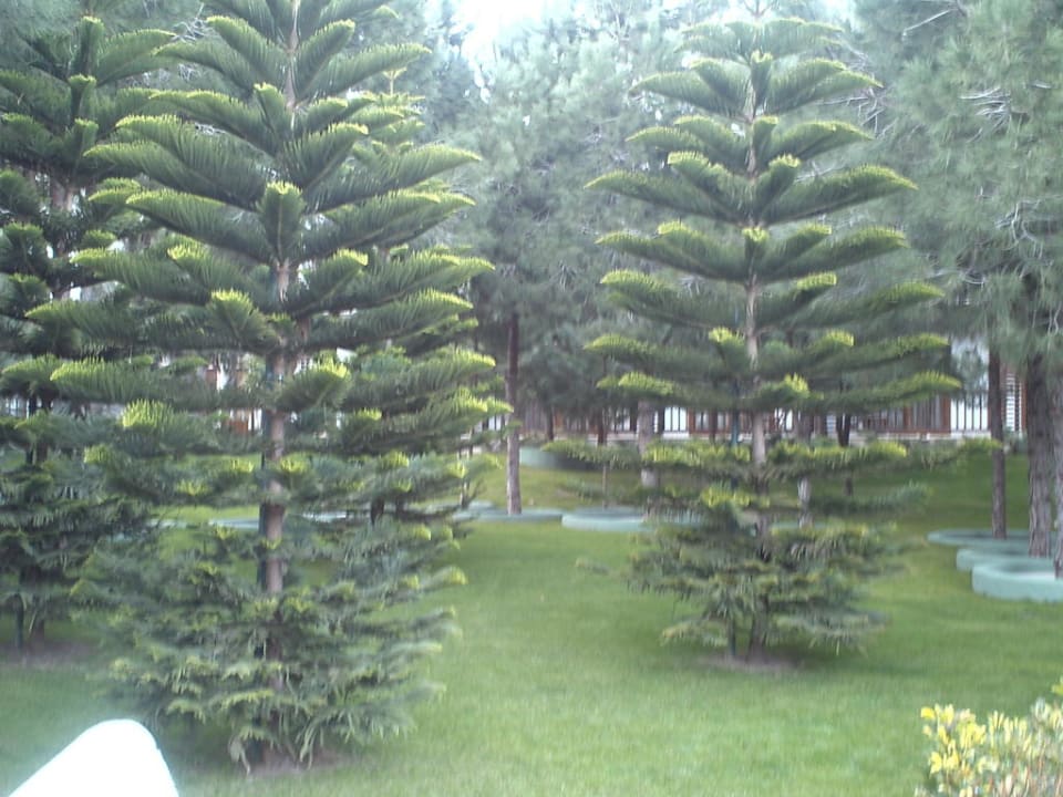 Alles grün Voyage Belek Golf & Spa