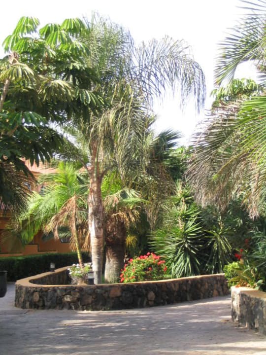 Garten Hotel Oasis Village