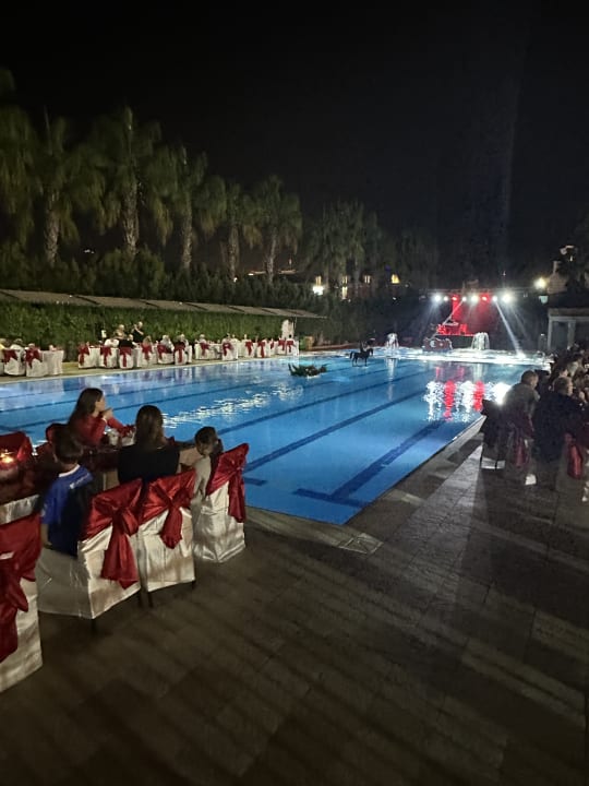 Pool Hane Family Resort