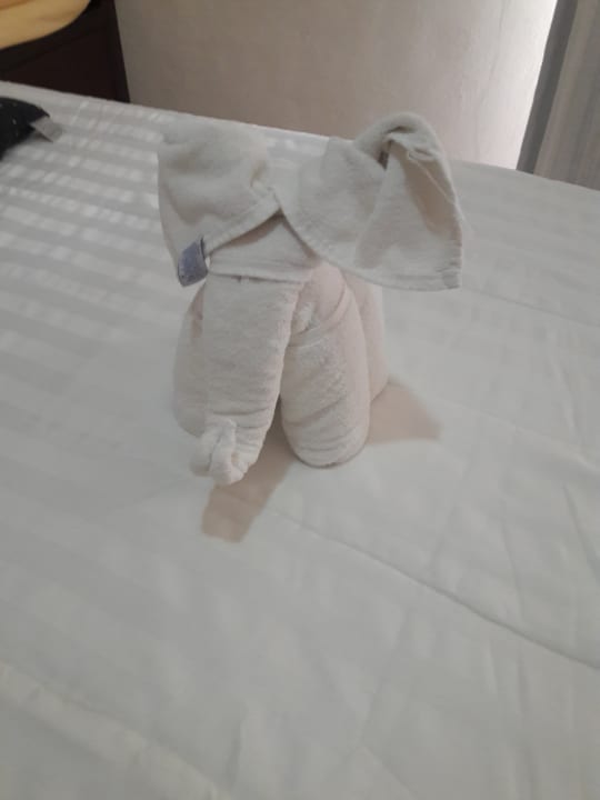 Zimmer Viva Maya by Wyndham - All Inclusive Resort