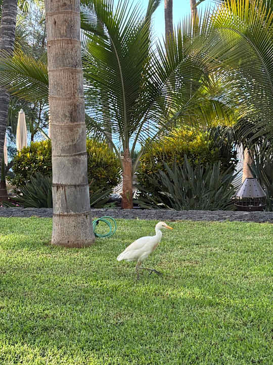 Gartenanlage Hotel Fariones