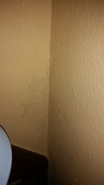 Zimmer Brisas Guardalavaca Hotel & Villas