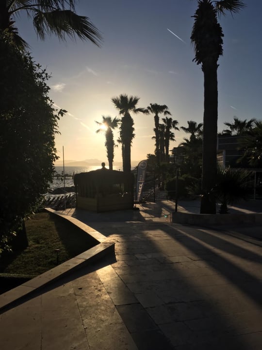 Gartenanlage TUI MAGIC LIFE Bodrum - Adult Only (16+)