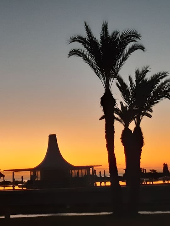 Ausblick Iberostar Waves Averroes