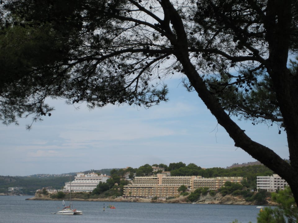 Blick auf das Hotel vom Ort aus gesehen Sentido Fido Punta del Mar – Adults only