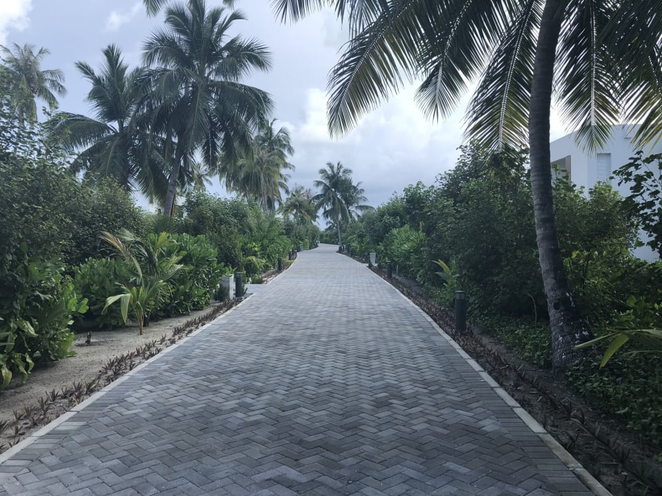 Gartenanlage Hotel Riu Atoll
