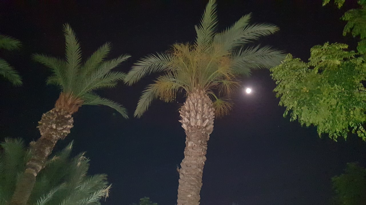 Bei Nacht. Labranda Alantur Resort