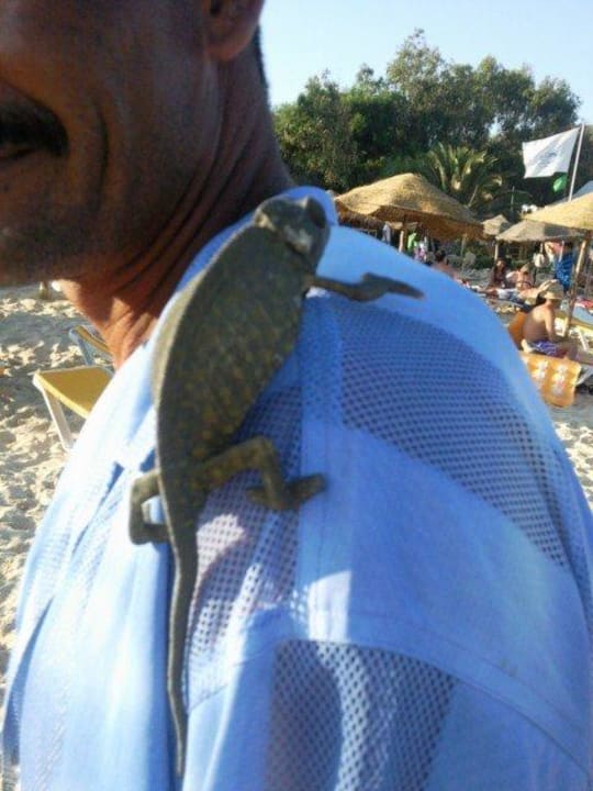 Chamäleon Hotel Méditerranée Thalasso Golf