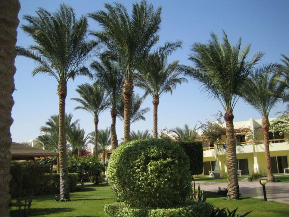 In der Hotelanlage Palm Beach Resort