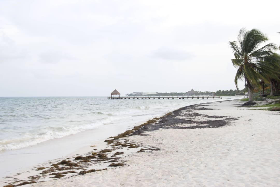 Plaża przy hotelu H10 Ocean Maya Royale - Adults only