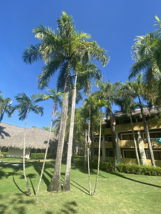 Außenansicht Iberostar Waves Costa Dorada