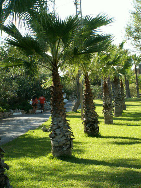 Uliczki hotelowe Iberostar Waves Cala Domingos
