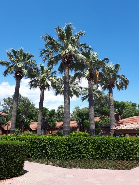 Gastro Can Garden Beach