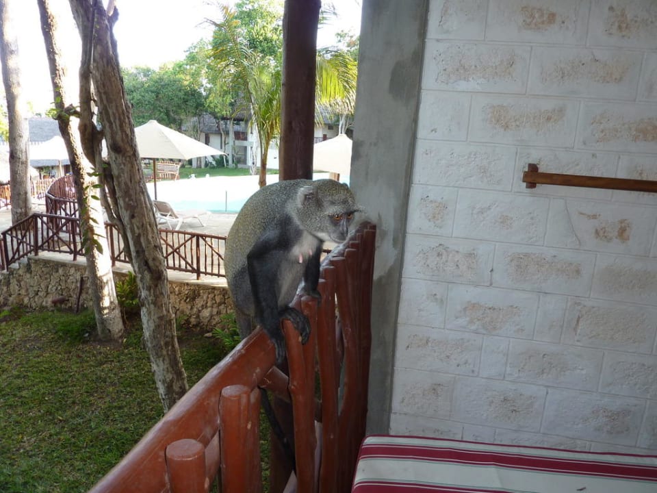 Tier Baobab Beach Resort & Spa