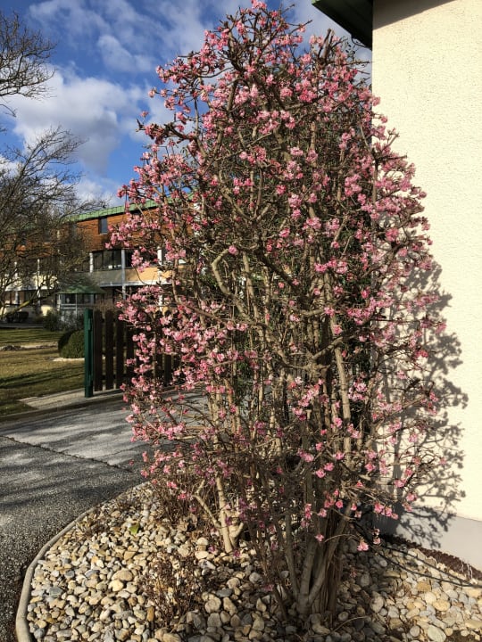 Sonstiges Wilfinger Ring Bio Hotel