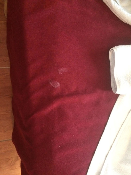 Der ober Burner das Laken Hotel Ideal Beach