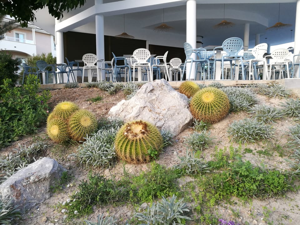 Ausblick Playa Garden Selection Hotel & Spa