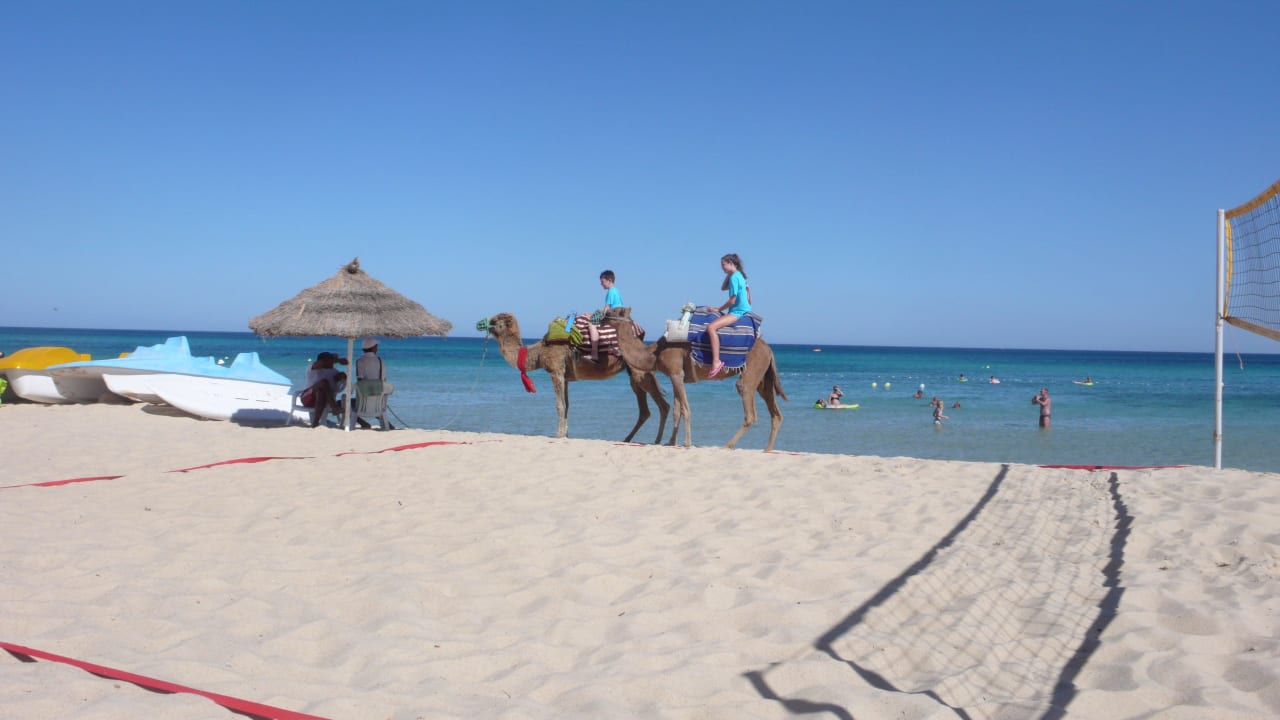 Beachvolleyballfeld und Kamelreiten Hotel Royal Nozha