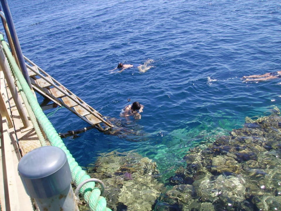 Snorkling dal pontile Hotel Carnelia Beach Resort