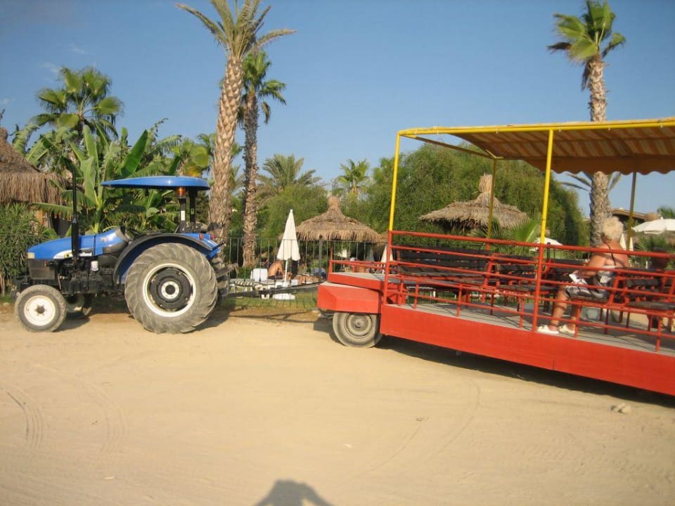 Shuttle zum Strand Dream Family Club