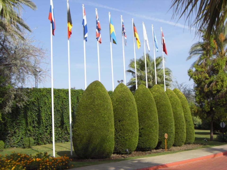 Auffahrt zum Hotel Side Star Elegance