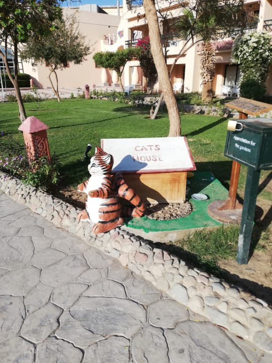 Gartenanlage Ali Baba Palace Resort