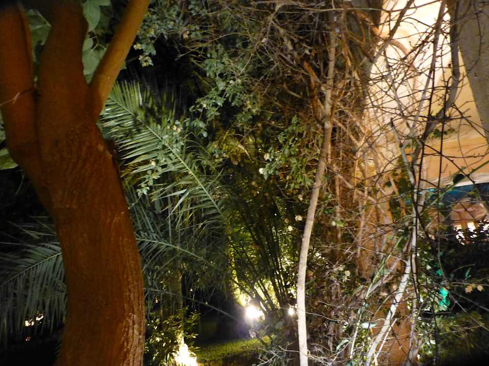 Gartenanlage Lago Garden