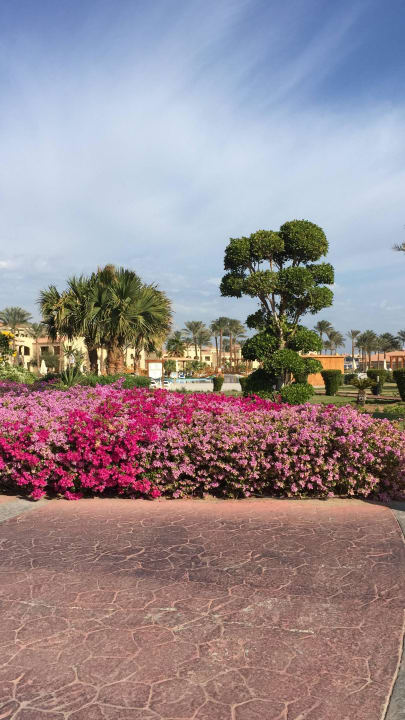 Top gepflegt  Cleopatra Luxury Resort Makadi Bay