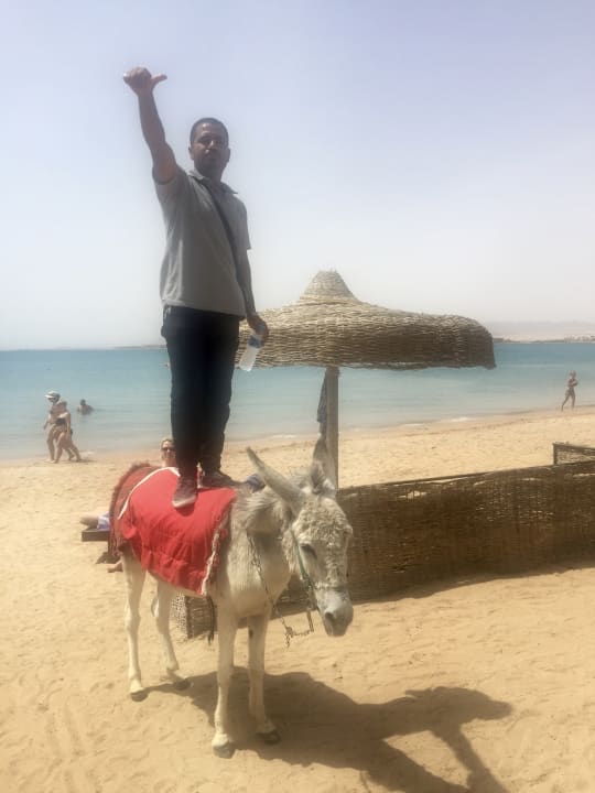 Strand Palm Royale Resort - Soma Bay