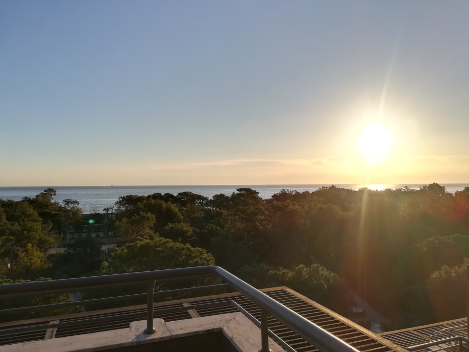 Zimmer Balmy Foresta