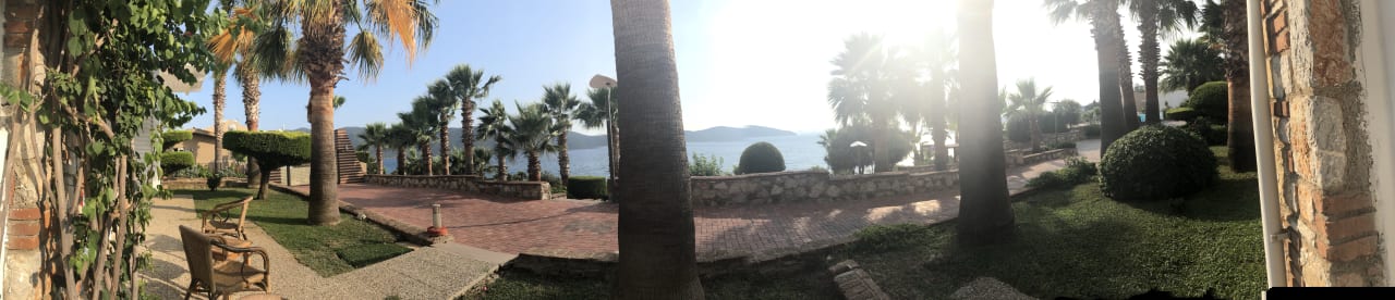 Garten TUI MAGIC LIFE Bodrum - Adult Only (16+)