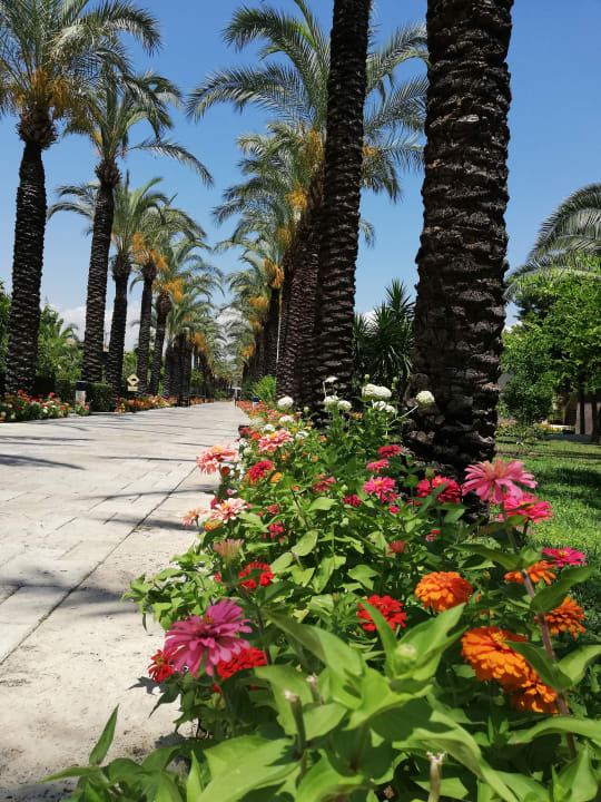 Gartenanlage TUI BLUE Palm Garden