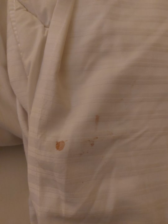 Zimmer Good Morning + Berlin City East