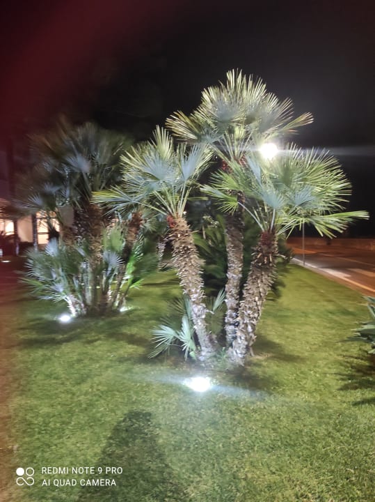 Gartenanlage Hotel Le Palme