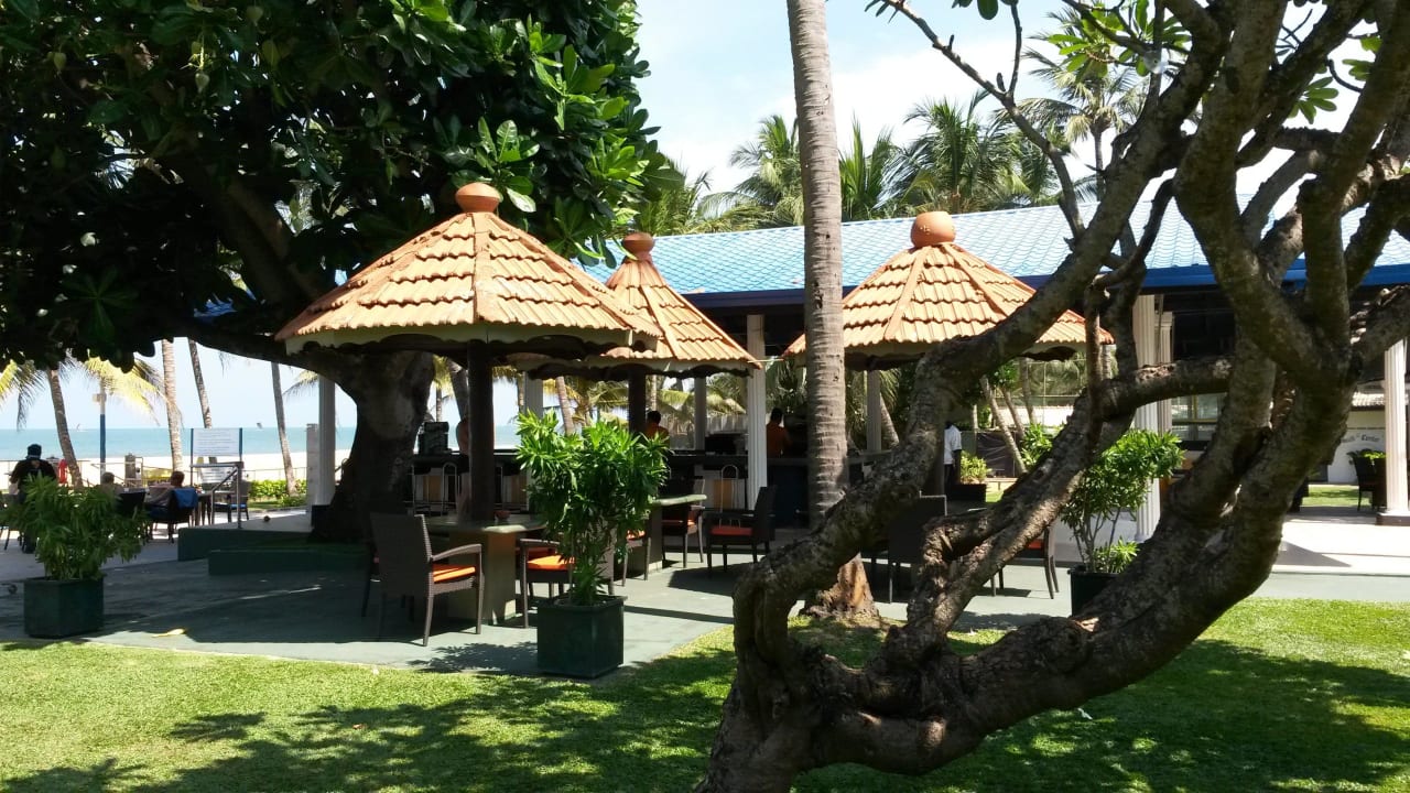 Garten und Außenbarbereich Hotel Camelot Beach