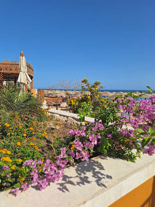 Gartenanlage Grand Waterworld Makadi & Family Star Makadi