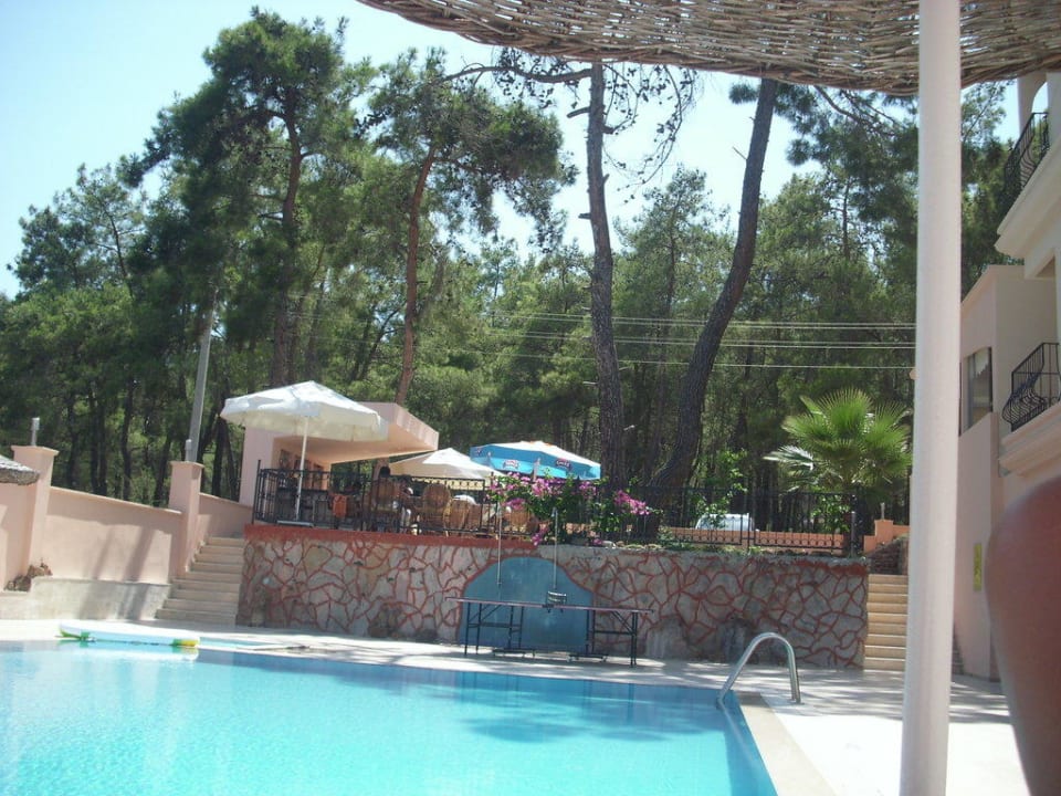 Ausblick Hotel Forest Park